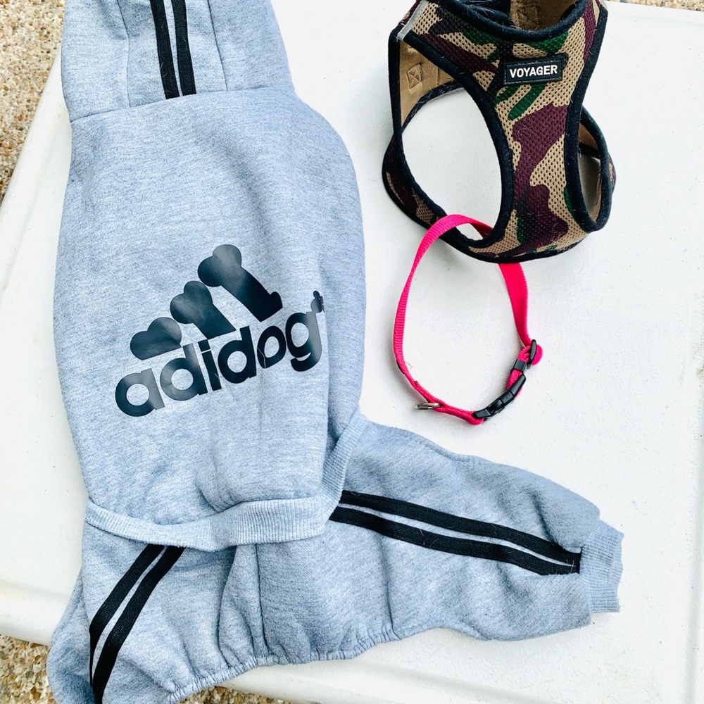 Doggy Tracksuit, Pink Collar and Camo Harness